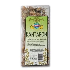 KANTARON (SARI)