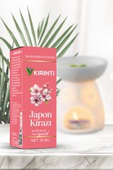 Japon Kirazı Kokulu Buhurdanlık Esansı 10 ML